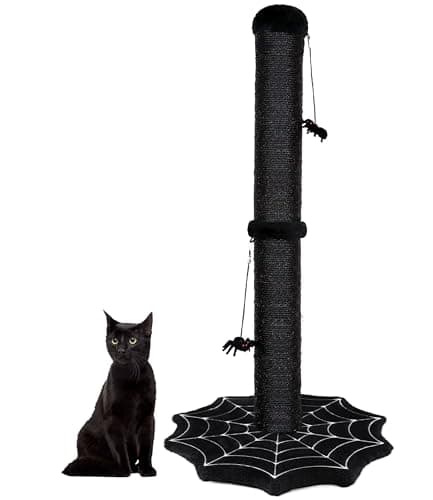 Halloween Goth Cat Scratching Post with Spider Toys