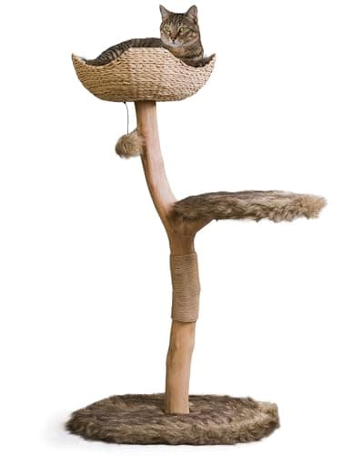 MAU LIFESTYLE Alpine White Wooden Cat Climbing Tree Tower — Brown