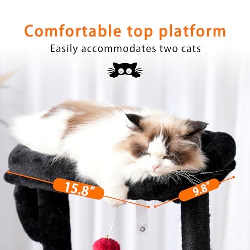 Gothic Halloween Cat Tower for Indoor Cats
