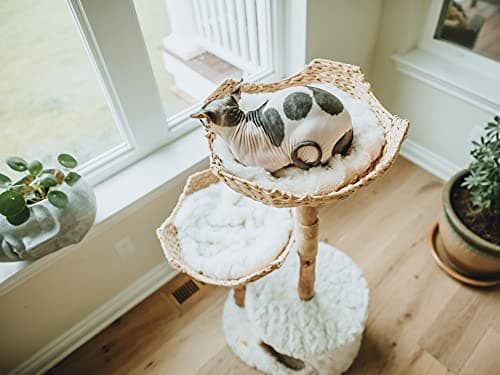 MAU Modern Cat Tree Tower for Large Cats