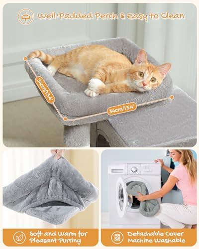 PAWZ Road Cat Tree for Indoor Cats - 30 Inches with Dual Condos