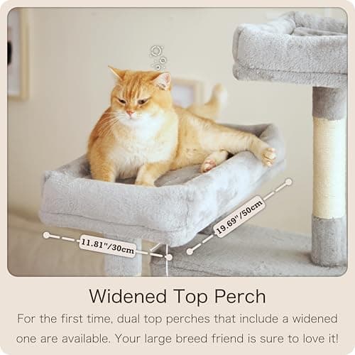 OURITSU 61-inch Tall Cat Tree with Hammock & Scratching Post, Light Gray