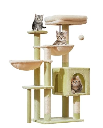 Smoky Gray Taoqimiao 39.4-Inch Cat Tree with 5 Scratching Posts & Plush Condo MS019G — Green and Beige