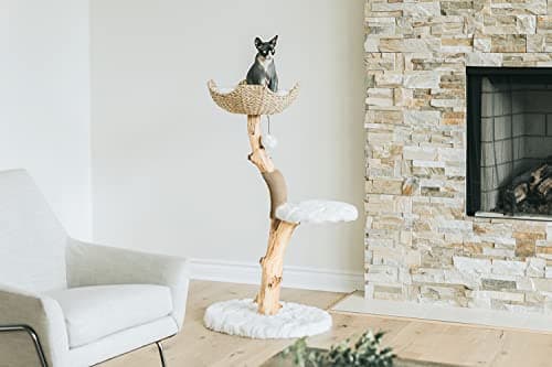 MAU LIFESTYLE Alpine White Wooden Cat Climbing Tree Tower
