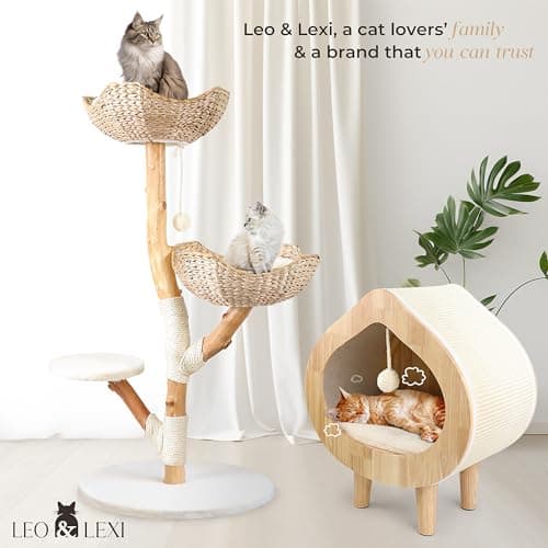 Solid Wood Modern Cat Tree Tower, Scratching Post & Bed for Large Cats