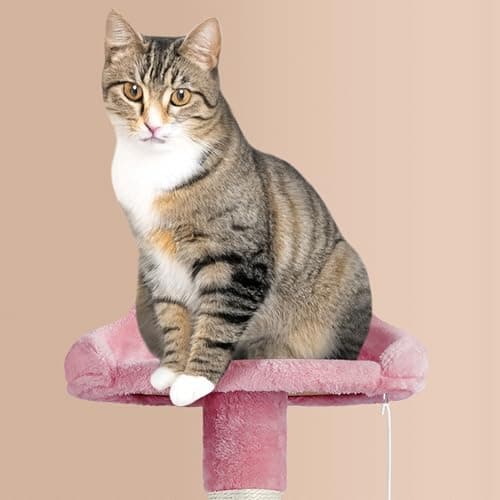 Yaheetech Large Cat Tower with Condos for Medium Cats Pink