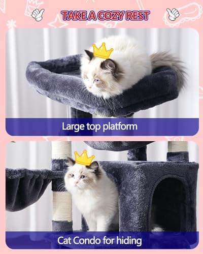 Cat Tree for Small Cats/Kittens

Revision: Cat Tree for Small Cats/Kittens