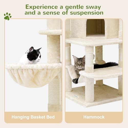 66 Inch Tall Curved C66 Cat Tree with 6 Scratching Posts & Indoor Condos
