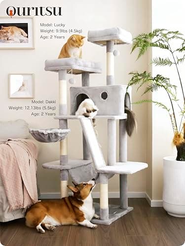 OURITSU 61-inch Tall Cat Tree with Hammock & Scratching Post, Light Gray