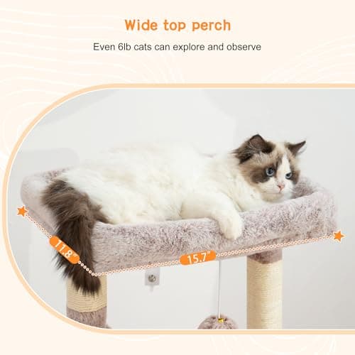 Heybly Cat Tree: Kitten Tower with Soft Basket & Spacious Bed for Indoor Cats