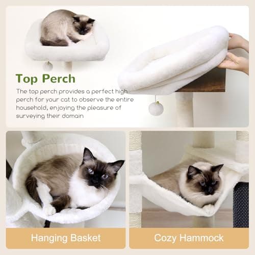 Tall 66-inch Modern Cat Tower for Indoor Cats with 4 Scratching Posts