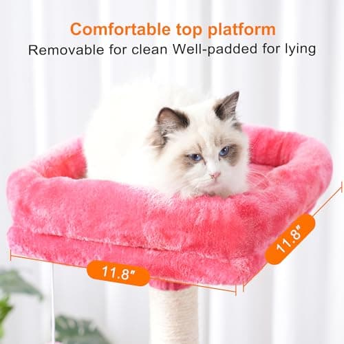 Cat Tower Condo with Toy for Indoor Cats