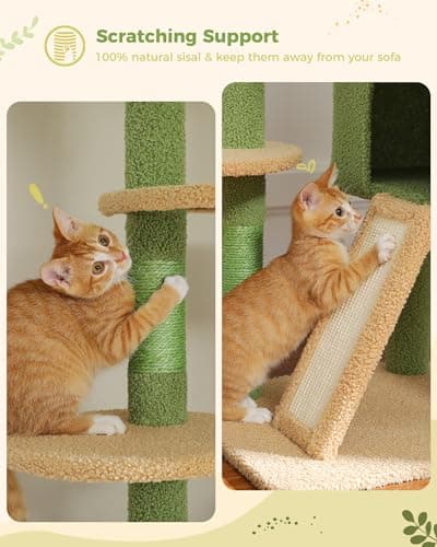 PEQULTI Floor to Ceiling Cat Tree Tower with Condo, Hammock & Scratching Post, Green