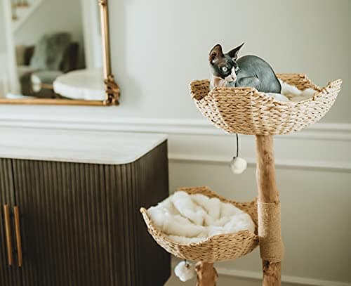 MAU Modern Cat Tree Tower for Large Cats