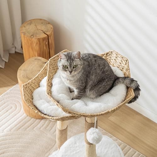 Tall Wooden Cat Tree for Large Cats 46" White with Scratcher.