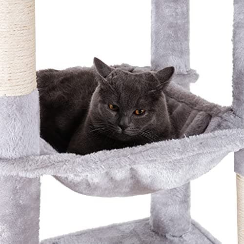 XXL Cat Tree for Big Cats - Heavy Duty Indoor Furniture for Large Cats