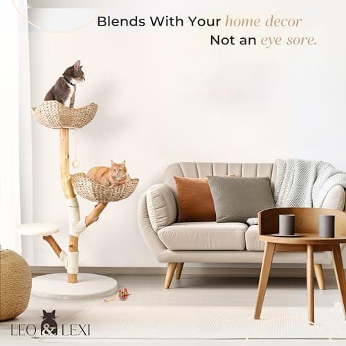 Solid Wood Modern Cat Tree Tower, Scratching Post & Bed for Large Cats