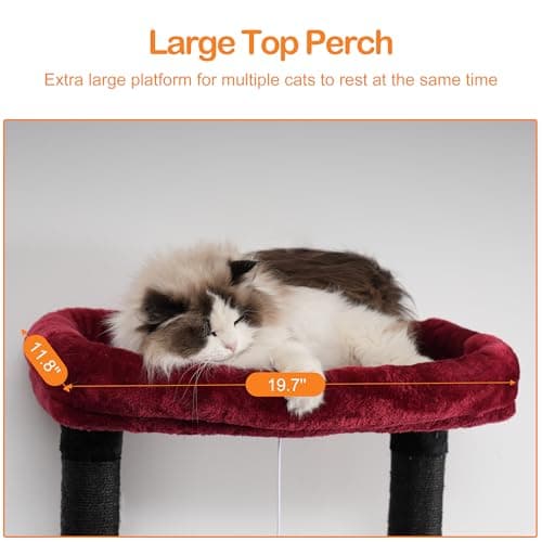 Halloween Cat Tree for Indoor Cats - 68 inch Multi-Level Cat Tower