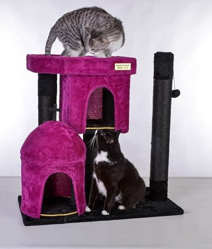 Gothic Black Cat Tree with Coffin Bed & Halloween Decor