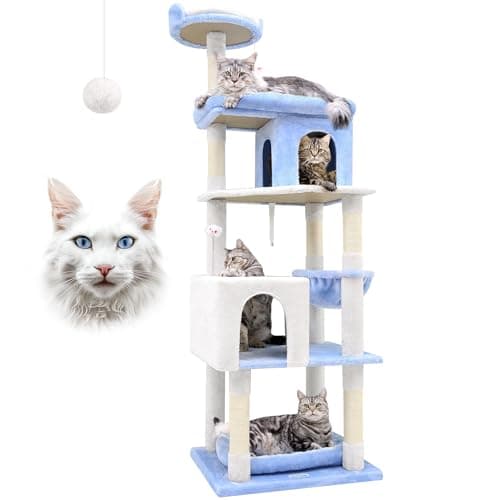 Sturdy 72in S72 Heavy Duty Cat Tree for Large Cats 20 lbs+ Light Grey — Ocean Blue