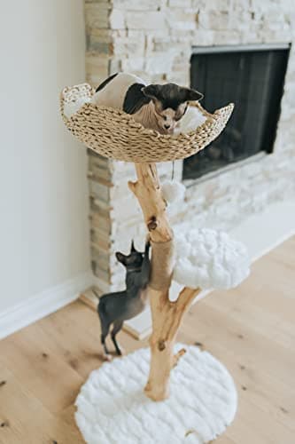 MAU LIFESTYLE Alpine White Wooden Cat Climbing Tree Tower