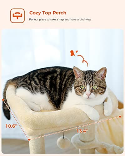 Small Cat Tree with Scratching Posts and Hammock