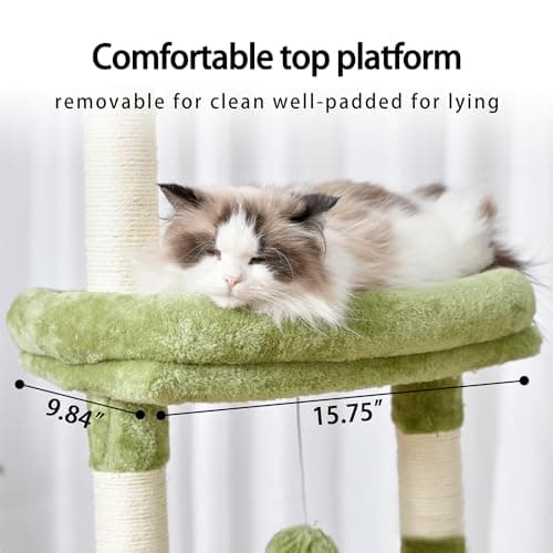 Modern 65-inch Cat Tree for Indoor Cats with Multi-Level Platforms and Scratching Posts