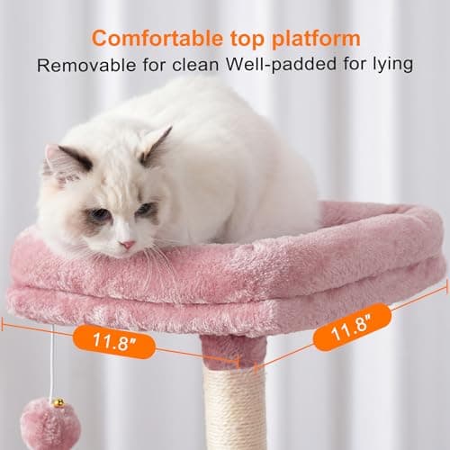 Pink Cat Tree Condo with Toy and Scratching Posts for Indoor Cats