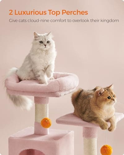 61-Inch Cat Tower with Multi-Levels and Accessories for Indoor Cats