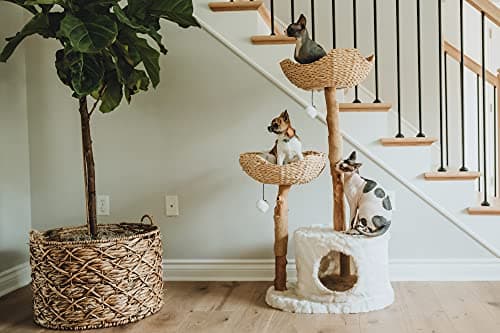 MAU Modern Cat Tree Tower for Large Cats