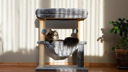 Sturdy 24-inch Multi-Level Cat Tree with Hammock & Scratching Post - Light Gray