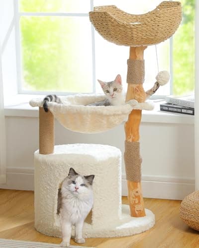 Spooky Gothic Cat Tree with Coffin Condo, 2 Metal Hammocks & Scratching Post, Black Halloween — 40" Wooden Luxury Cat Tree