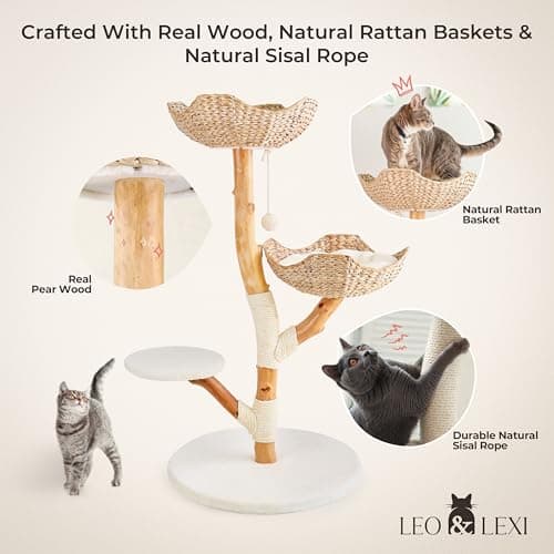 Solid Wood Modern Cat Tree Tower, Scratching Post & Bed for Large Cats