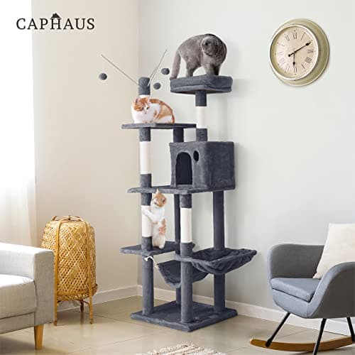 Tall Cat Tree for Indoor Cats: 70-Inch Modern Climbing Play Tower with Perch