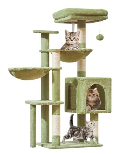 Smoky Gray Taoqimiao 39.4-Inch Cat Tree with 5 Scratching Posts & Plush Condo MS019G — Green