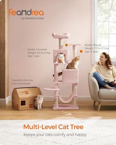 61-Inch Cat Tower with Multi-Levels and Accessories for Indoor Cats