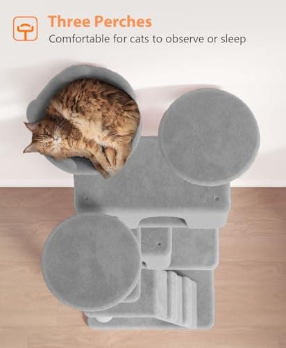 large indoor cat tree tower for big cats