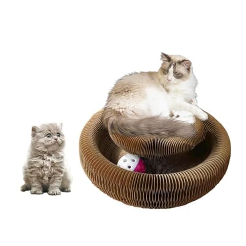 Magic Organ Cat Scratcher and Ball Toy for Mental and Physical Exercise