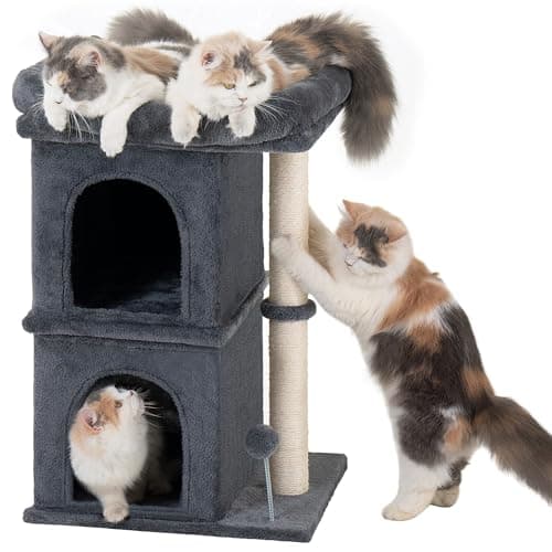 Gothic Cat Condo Cave, Spacious Indoor Bed for Large Cats, Red Black — Dark Gray-24" H