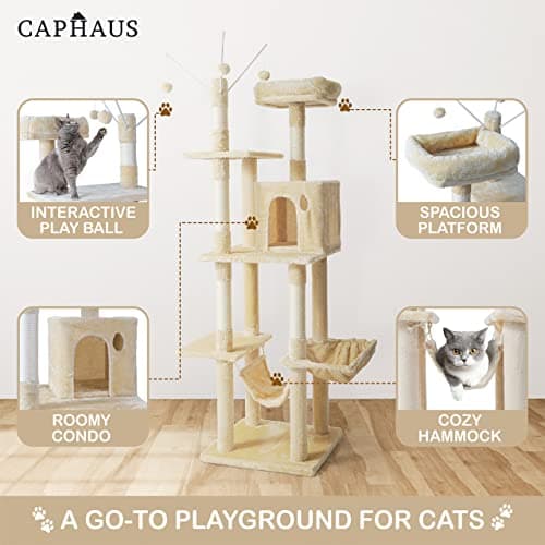Tall Cat Tree for Indoor Cats: 70-Inch Modern Climbing Play Tower with Perch