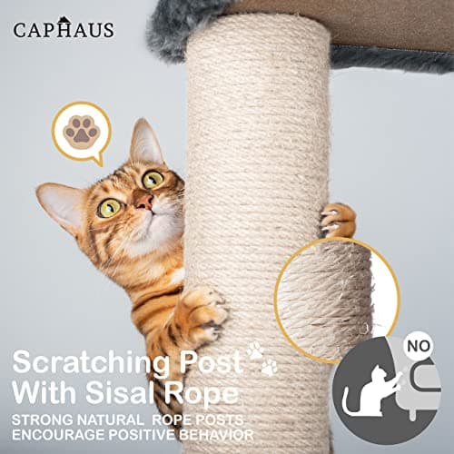 Tall Cat Tree for Indoor Cats: 70-Inch Modern Climbing Play Tower with Perch
