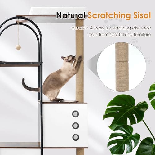 Modern 4-Tier Cat Tree with Caves & Scratching Posts