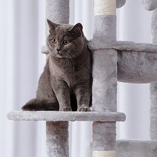 XXL Cat Tree for Big Cats - Heavy Duty Indoor Furniture for Large Cats