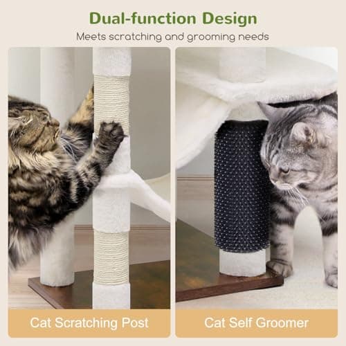 Tall 66-inch Modern Cat Tower for Indoor Cats with 4 Scratching Posts