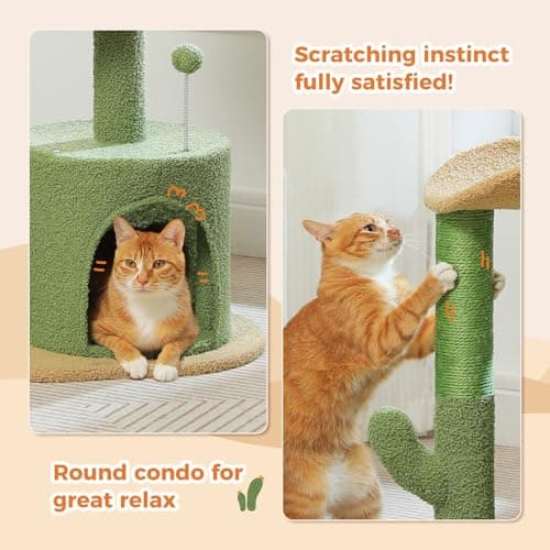 PAWZ Small Cat Tree with Curved Perch & Scratching Post-Green