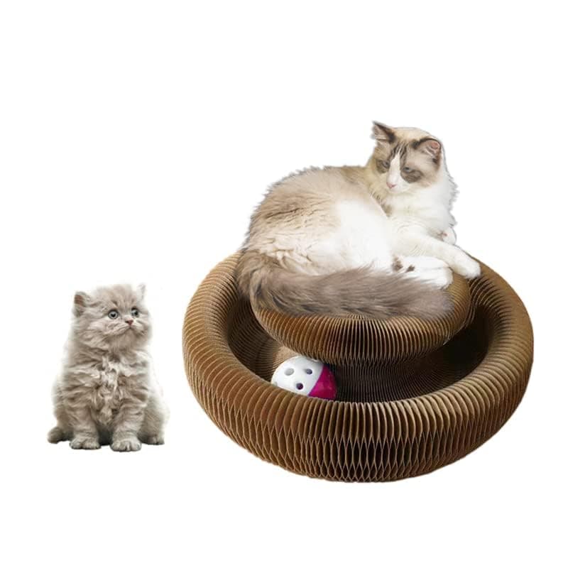 Magic Organ Cat Scratcher and Ball Toy for Mental and Physical Exercise