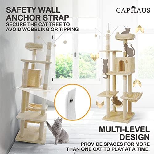 Tall Cat Tree for Indoor Cats: 70-Inch Modern Climbing Play Tower with Perch