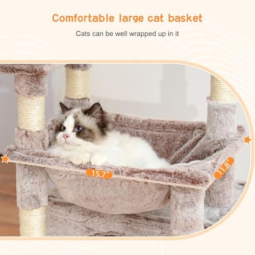 Heybly Cat Tree: Kitten Tower with Soft Basket & Spacious Bed for Indoor Cats