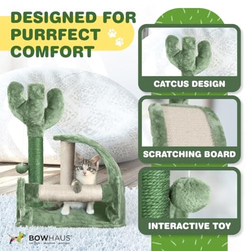 CAPHAUS Green 20-Inch Cactus Cat Tree with Scratching Board & Toy