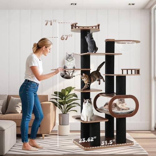 Modern 71'' Black Solid Wood Cat Tree, Multi-Level with Transparent Bed